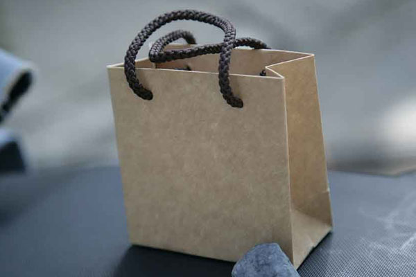 In túi giấy kraft mini